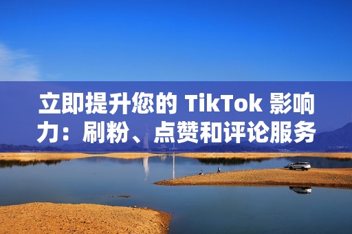 立即提升您的 TikTok 影响力：刷粉、点赞和评论服务