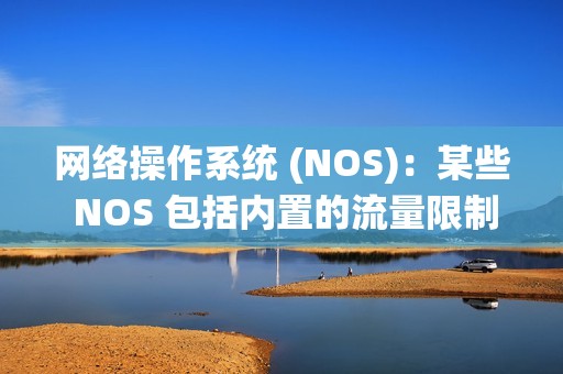 网络操作系统 (NOS)：某些 NOS 包括内置的流量限制功能。