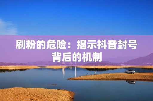 刷粉的危险：揭示抖音封号背后的机制