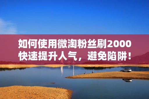 如何使用微淘粉丝刷2000快速提升人气，避免陷阱！