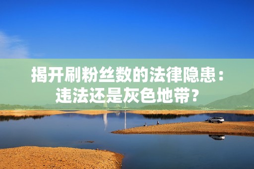 揭开刷粉丝数的法律隐患：违法还是灰色地带？