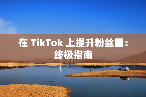 在 TikTok 上提升粉丝量：终极指南