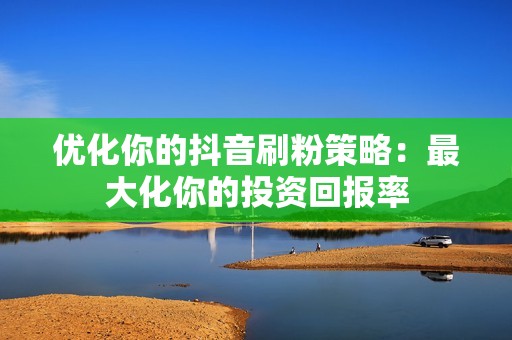 优化你的抖音刷粉策略：最大化你的投资回报率