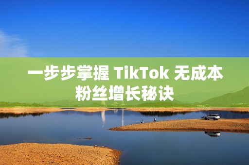 一步步掌握 TikTok 无成本粉丝增长秘诀