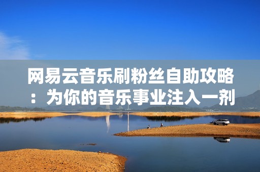 网易云音乐刷粉丝自助攻略：为你的音乐事业注入一剂强心针