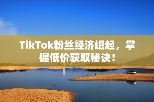 TikTok粉丝经济崛起，掌握低价获取秘诀！