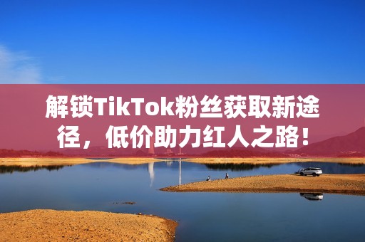 解锁TikTok粉丝获取新途径，低价助力红人之路！