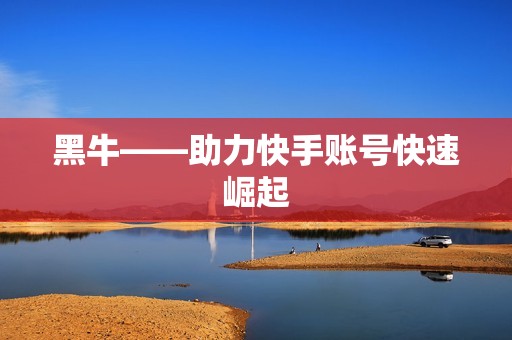 黑牛——助力快手账号快速崛起