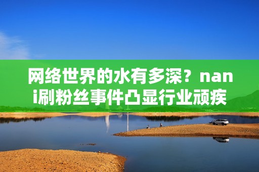 网络世界的水有多深？nani刷粉丝事件凸显行业顽疾