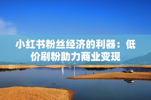 小红书粉丝经济的利器：低价刷粉助力商业变现