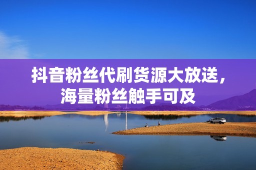 抖音粉丝代刷货源大放送，海量粉丝触手可及