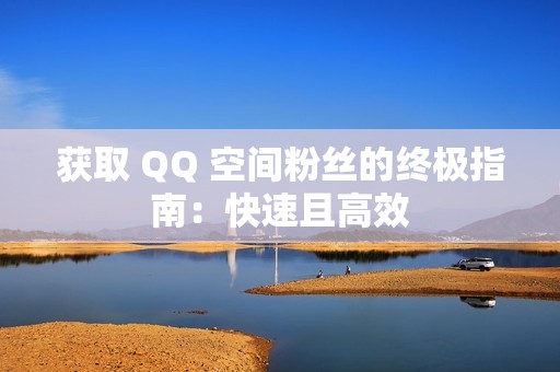 获取 QQ 空间粉丝的终极指南：快速且高效