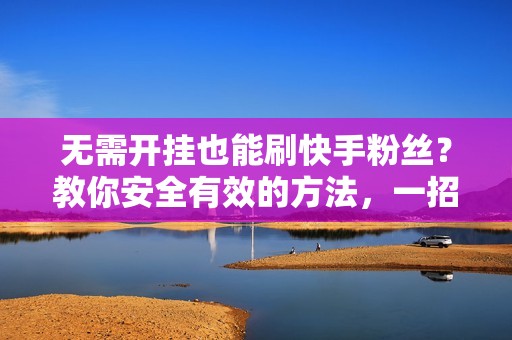 无需开挂也能刷快手粉丝？教你安全有效的方法，一招制胜！