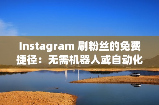 Instagram 刷粉丝的免费捷径：无需机器人或自动化工具即可获得有机增长