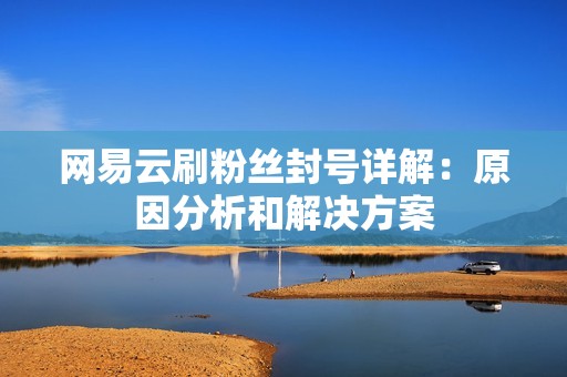 网易云刷粉丝封号详解：原因分析和解决方案