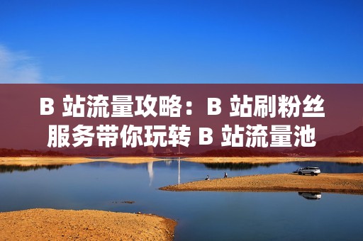 B 站流量攻略：B 站刷粉丝服务带你玩转 B 站流量池