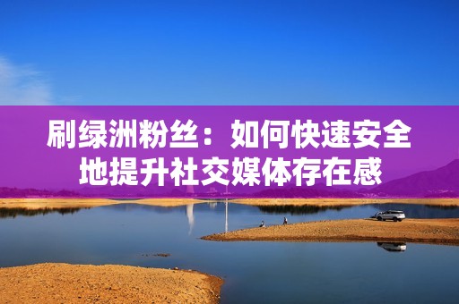 刷绿洲粉丝：如何快速安全地提升社交媒体存在感