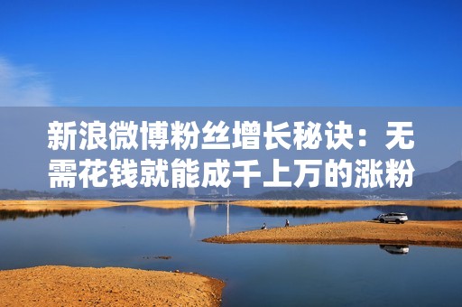 新浪微博粉丝增长秘诀：无需花钱就能成千上万的涨粉神器