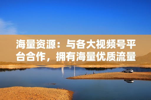 海量资源：与各大视频号平台合作，拥有海量优质流量资源，为您提供源源不断的精准