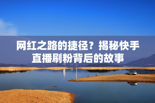 网红之路的捷径？揭秘快手直播刷粉背后的故事