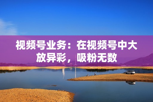 视频号业务：在视频号中大放异彩，吸粉无数