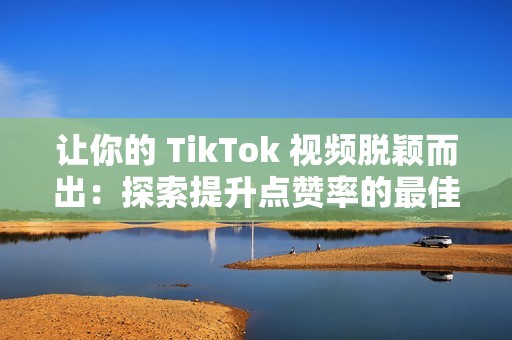 让你的 TikTok 视频脱颖而出：探索提升点赞率的最佳网站和工具