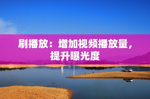 刷播放：增加视频播放量，提升曝光度