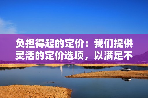 负担得起的定价：我们提供灵活的定价选项，以满足不同预算的企业需求。