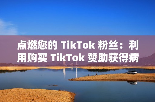 点燃您的 TikTok 粉丝：利用购买 TikTok 赞助获得病毒式曝光