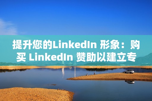 提升您的LinkedIn 形象：购买 LinkedIn 赞助以建立专业联系