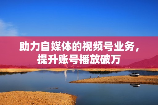 助力自媒体的视频号业务，提升账号播放破万