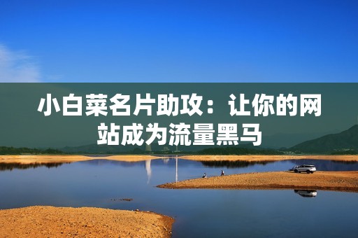 小白菜名片助攻：让你的网站成为流量黑马