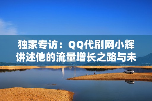 独家专访：QQ代刷网小辉讲述他的流量增长之路与未来规划