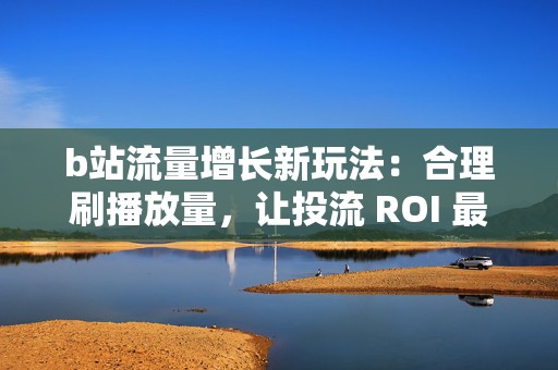 b站流量增长新玩法：合理刷播放量，让投流 ROI 最大化