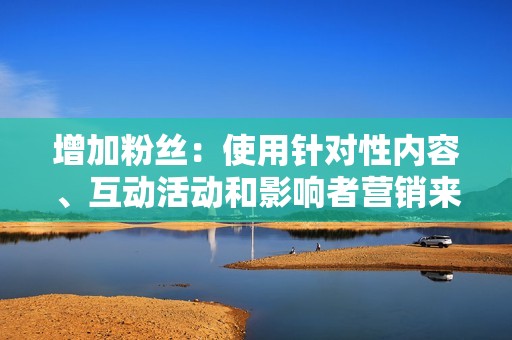 增加粉丝：使用针对性内容、互动活动和影响者营销来吸引更多粉丝。