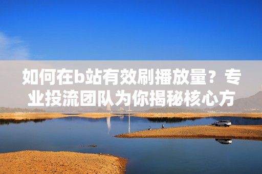 如何在b站有效刷播放量？专业投流团队为你揭秘核心方法