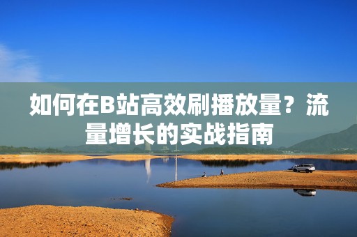 如何在B站高效刷播放量？流量增长的实战指南