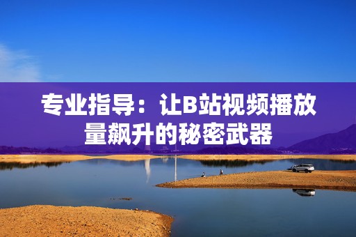 专业指导：让B站视频播放量飙升的秘密武器