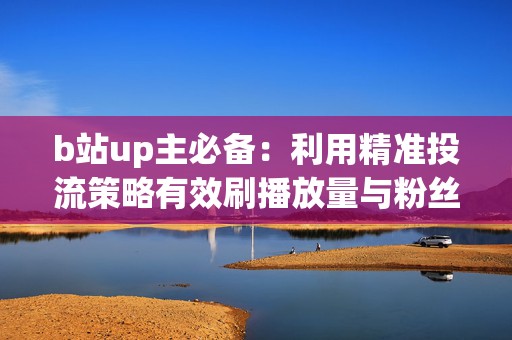 b站up主必备：利用精准投流策略有效刷播放量与粉丝双增长