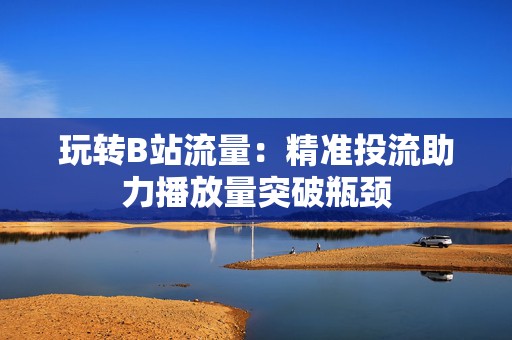 玩转B站流量：精准投流助力播放量突破瓶颈