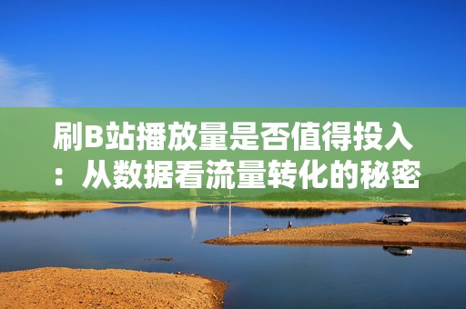 刷B站播放量是否值得投入：从数据看流量转化的秘密