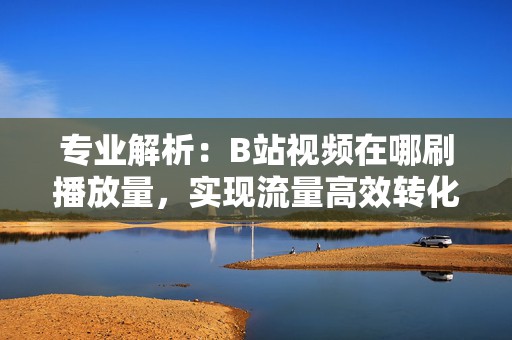 专业解析：B站视频在哪刷播放量，实现流量高效转化