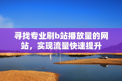 寻找专业刷b站播放量的网站，实现流量快速提升