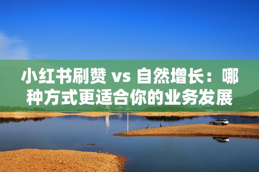 小红书刷赞 vs 自然增长：哪种方式更适合你的业务发展？