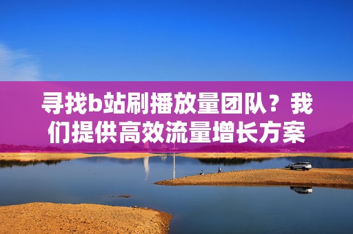 寻找b站刷播放量团队？我们提供高效流量增长方案