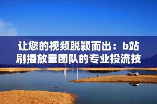 让您的视频脱颖而出：b站刷播放量团队的专业投流技巧