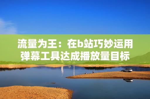 流量为王：在b站巧妙运用弹幕工具达成播放量目标