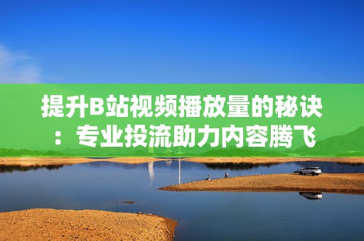 提升B站视频播放量的秘诀：专业投流助力内容腾飞