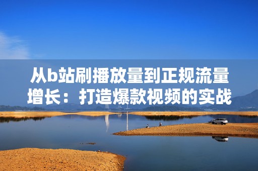 从b站刷播放量到正规流量增长：打造爆款视频的实战指南