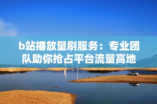 b站播放量刷服务：专业团队助你抢占平台流量高地